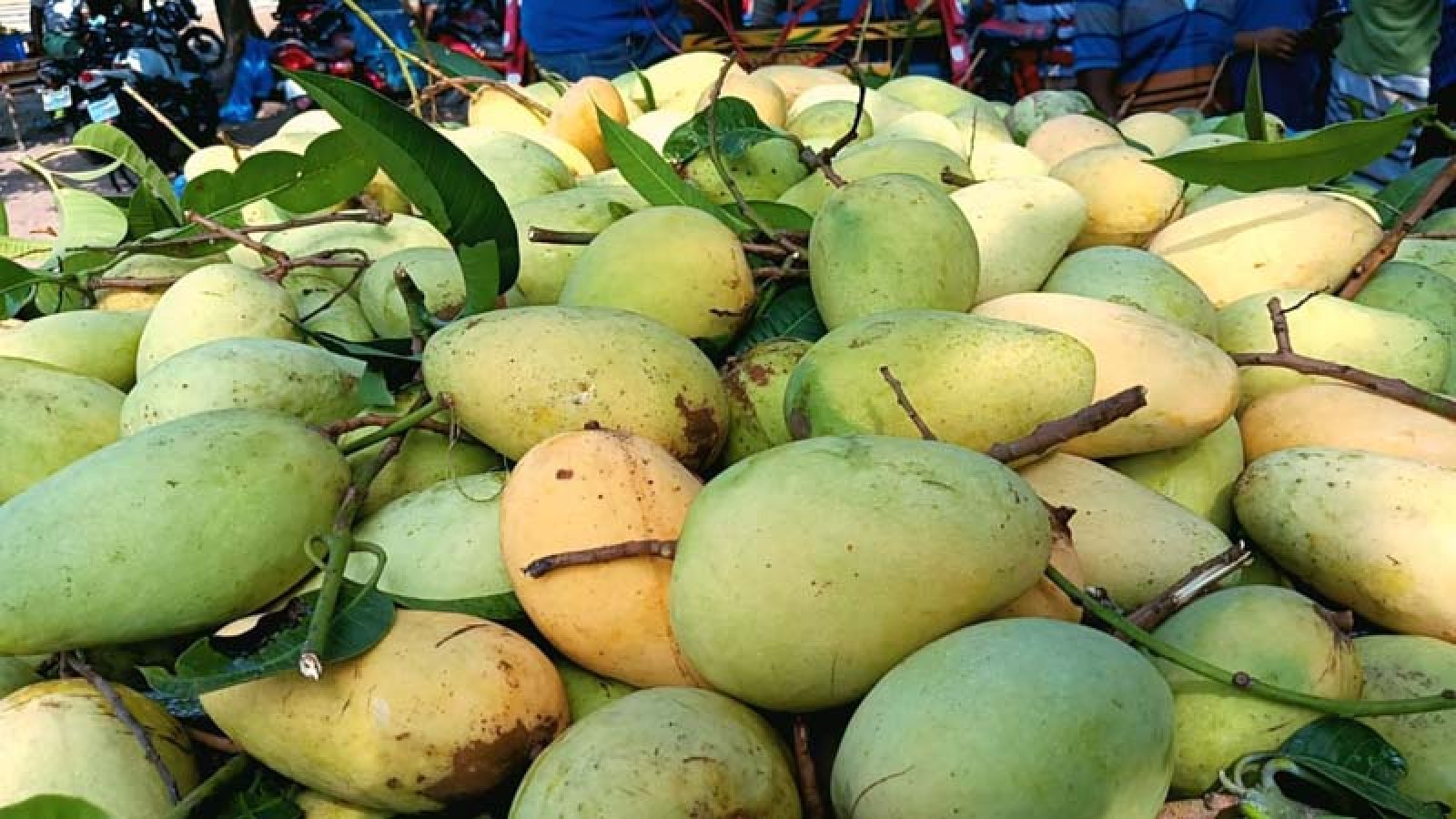 কানসাট আমবাজারের সময় দীর্ঘ হচ্ছে