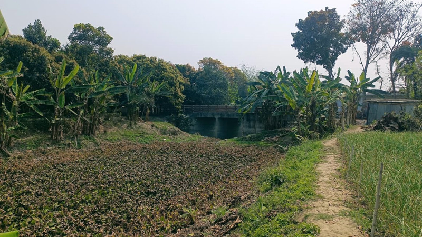কালের বিবর্তনে হারিয়ে গেছে ২৭ কি.মি. খাল,চারঘাটে পরিবেশ ও জীবিকার জন্য উদ্বেগ
