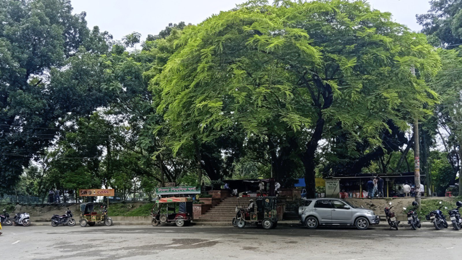 জীববৈচিত্র্য সংরক্ষণ এলাকা ঘোষিত শিমলা পার্ক, এখন প্রয়োজন সকলের দায়িত্বশীল আচরণ