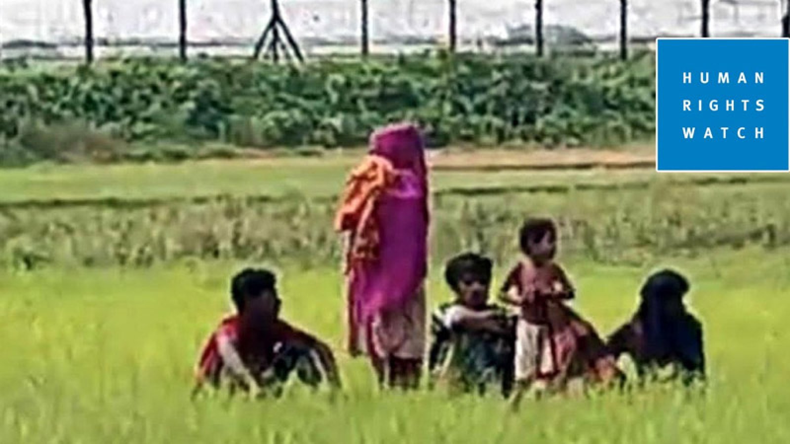 সীমান্তে ভারতের পুশ-ইন নিয়ে হিউম্যান রাইটস ওয়াচের উদ্বেগ