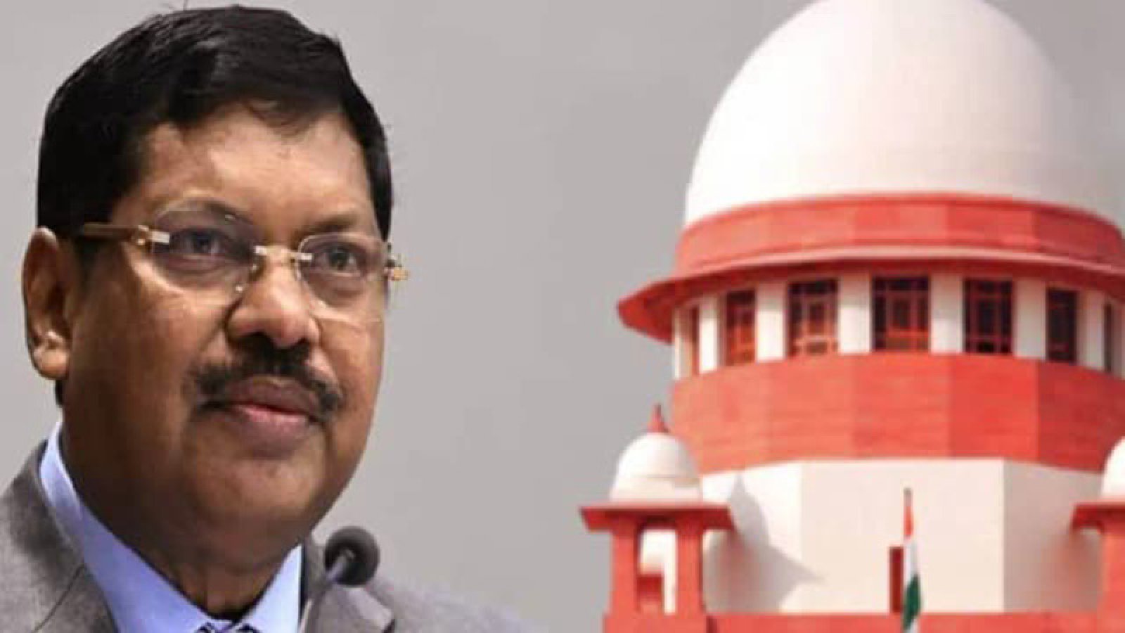 ’আবেগপ্রবণ হবেন না’, ককরোচ জনতা পার্টির ঢেউ পৌঁছাল সুপ্রিম কোর্টে