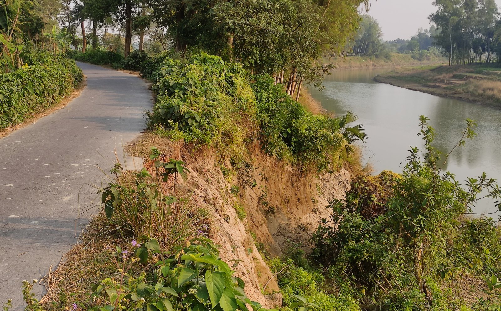 বদলগাছী ঝুকিপূর্ণ নদীর বাঁধ সংস্কারে কোন মাথাব্যাথা নেই কর্তৃপক্ষের