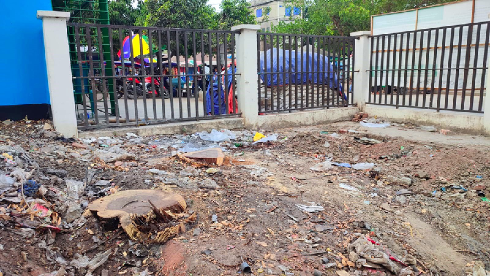 ফরিদপুর পৌর শিশু পার্কের জায়গা বরাদ্দ ও গাছ কাটা নিয়ে সমালোচনা ঝড়