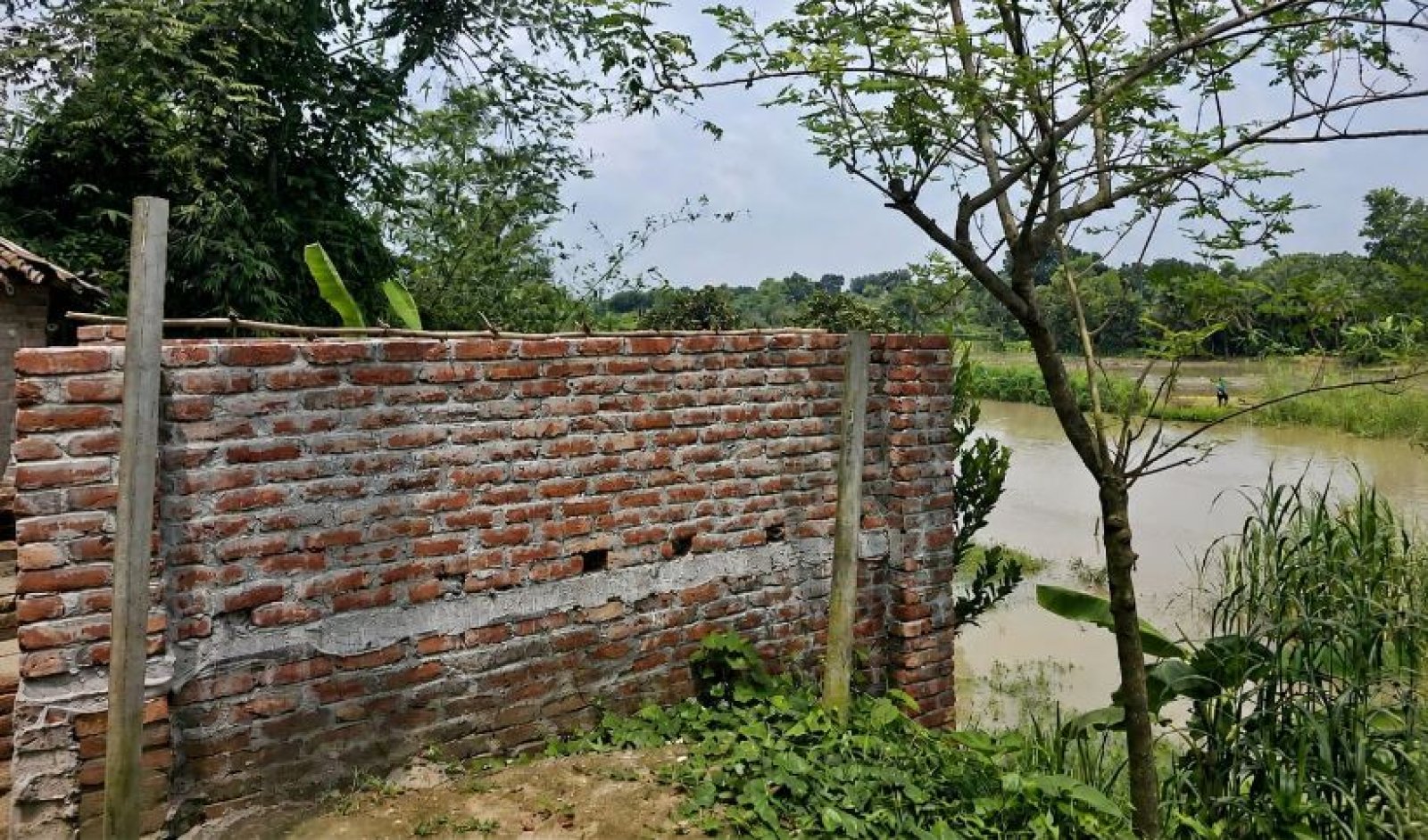 বড়ালে নতুন করে চলছে দখল