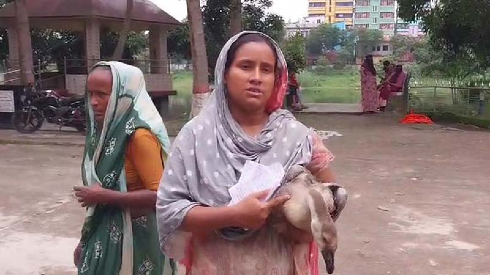পা ভাঙা রাজহাঁস নিয়ে থানায় নারী