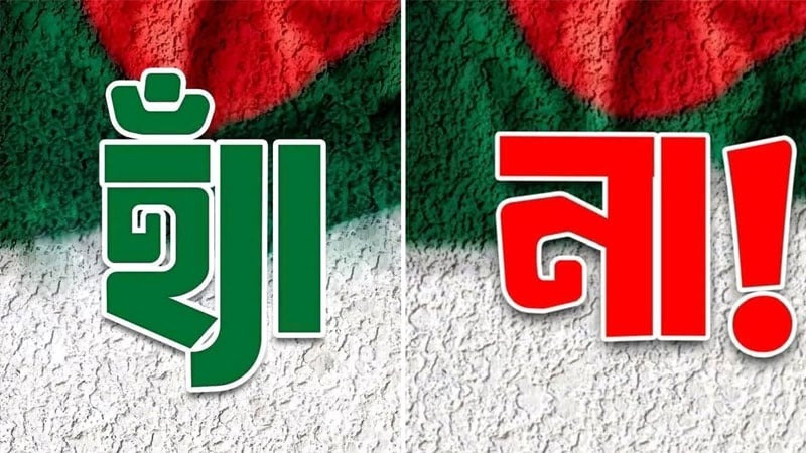 সরকার ও অন্যান্য দল হ্যাঁ ভোটের প্রচারে