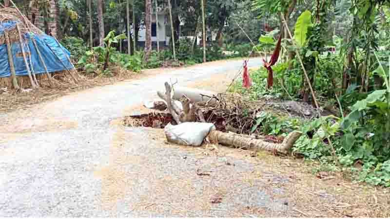 বদলগাছীতে সড়কের সাইড ভেঙে পথচারীসহ যানবাহন চলাচল ব্যাহত