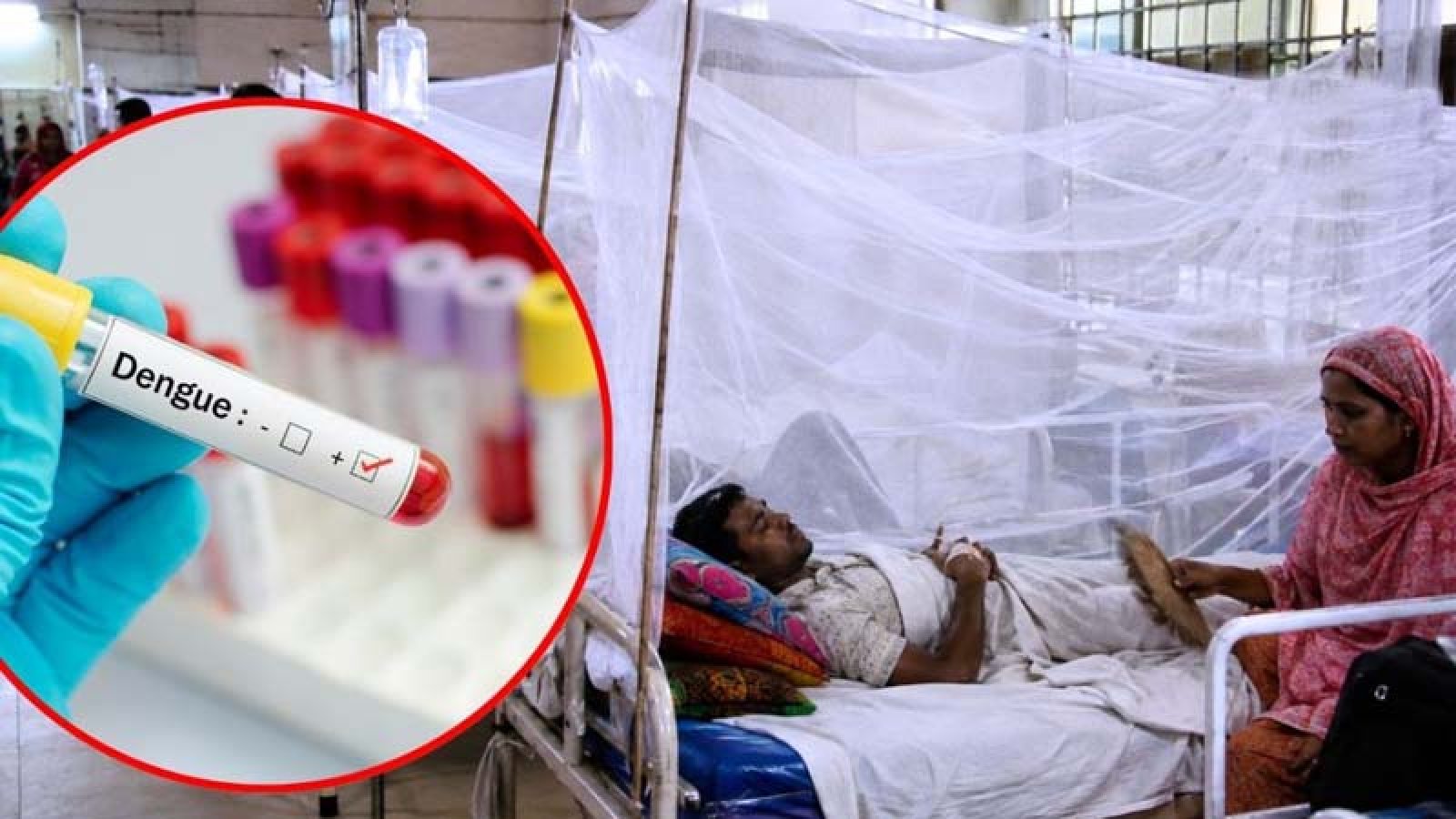 ডেঙ্গুতে ১০ জনের মৃত্যু, হাসপাতালে ভর্তি ১৯৪৩