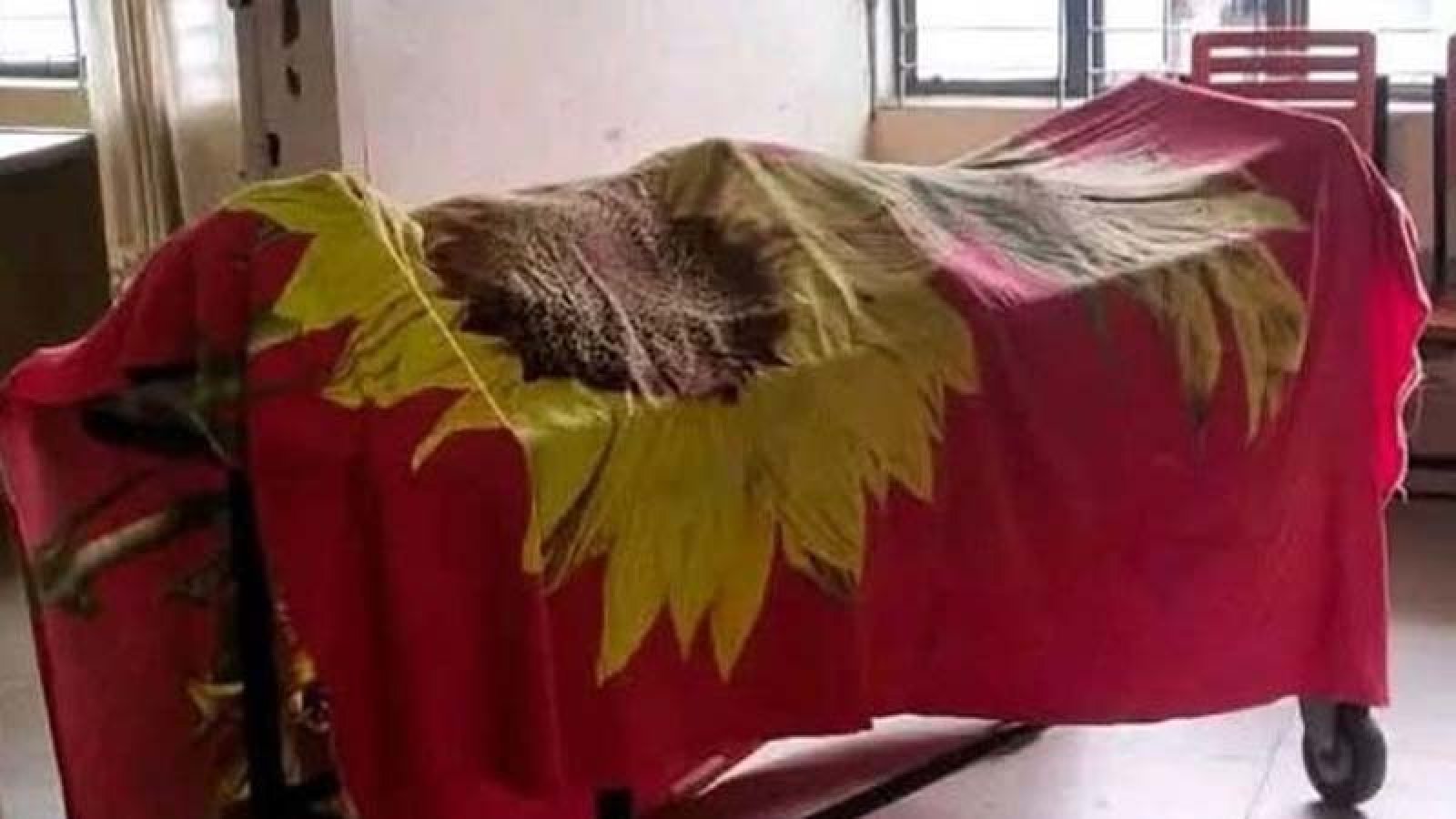 ভোলাহাটে দুপক্ষের সংঘর্ষ একজন নিহত। আটক একজন