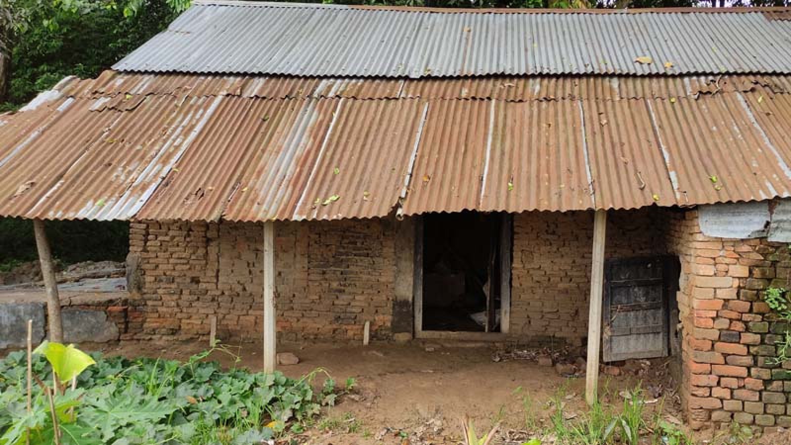 বদলগাছীতে ছুরিকাঘাতে এক নারীর মৃত্যু