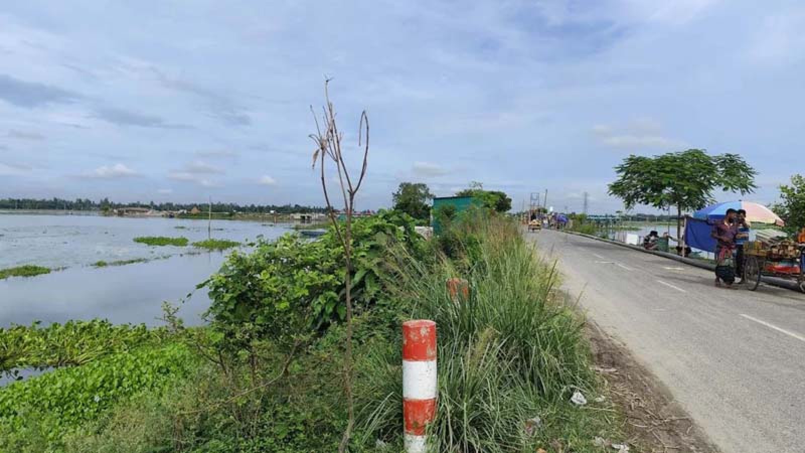 ৫০ টাকার গাছ ৪০০ টাকায় কিনে বৃক্ষরোপণ কর্মসূচি, এক মাসেই যাচ্ছে মরে