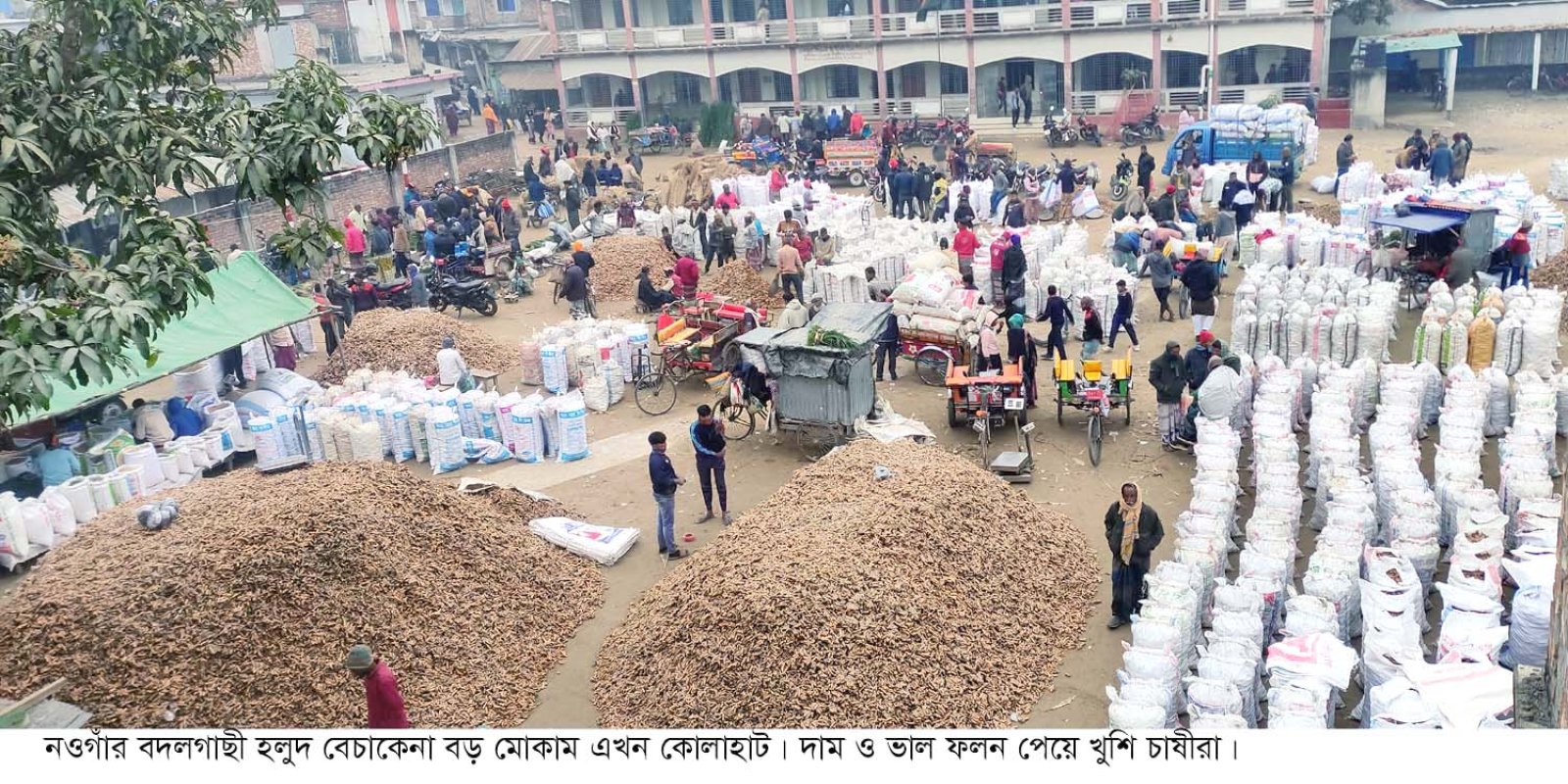 হলুদ বেচাকেনার বড় মোকাম এখন বদলগাছীা কোলারহাট
