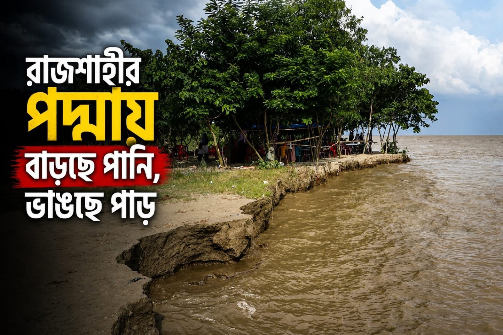 রাজশাহীর পদ্মায় বাড়ছে পানি, ভাঙছে পাড়