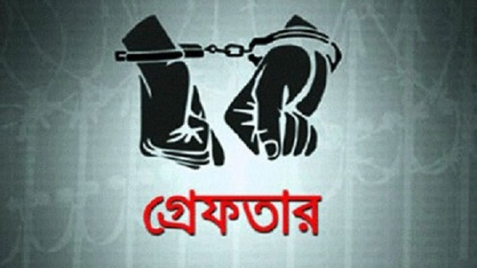 নগরীতে বিভিন্ন অপরাধে গ্রেপ্তার ৩১