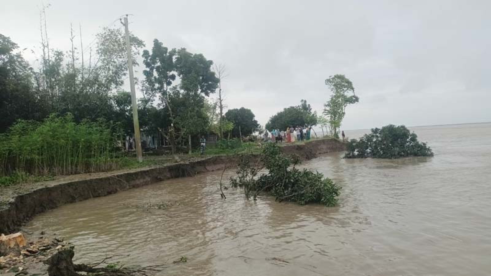 বাঘায় পানি কমতেই পদ্মার ভাঙন, হুমকিতে ২৫ বাড়ি