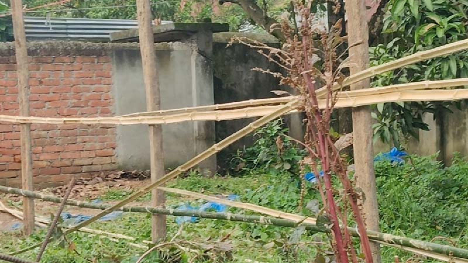 নিয়ামতপুরে মুক্তিযোদ্ধার বাড়িতে অনাধিকার প্রবেশ করে প্রাচীর নির্মাণের চেষ্টা