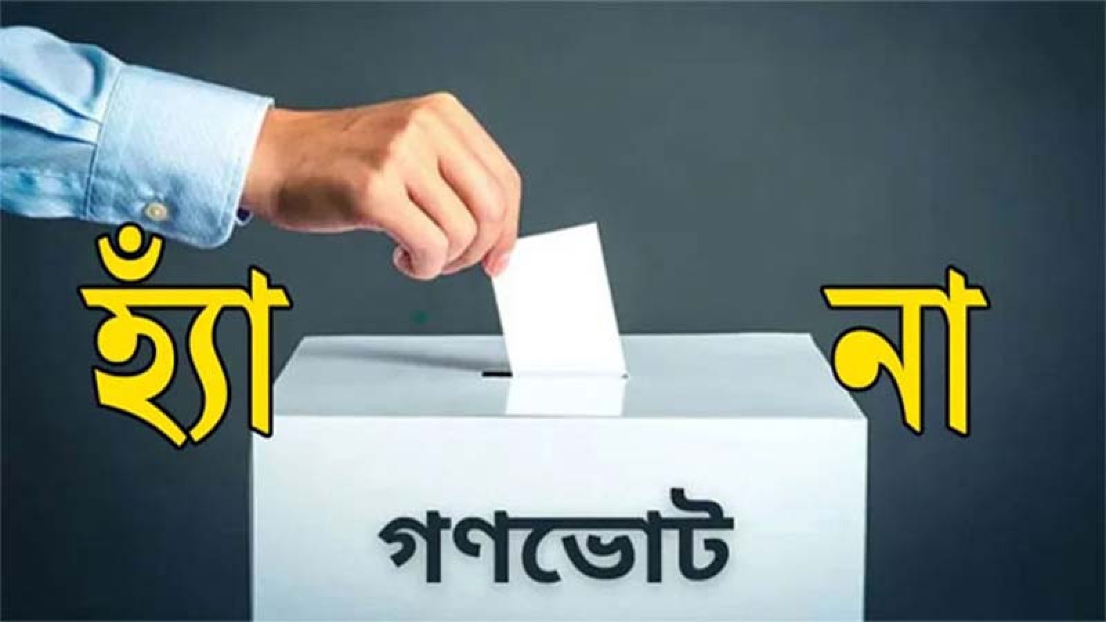 গণভোটে ‘হ্যাঁ’র পক্ষে প্রচার: ১ কোটি টাকা দিয়েছে কেন্দ্রীয় ব্যাংক, বললেন বৈছাআর রিফাত