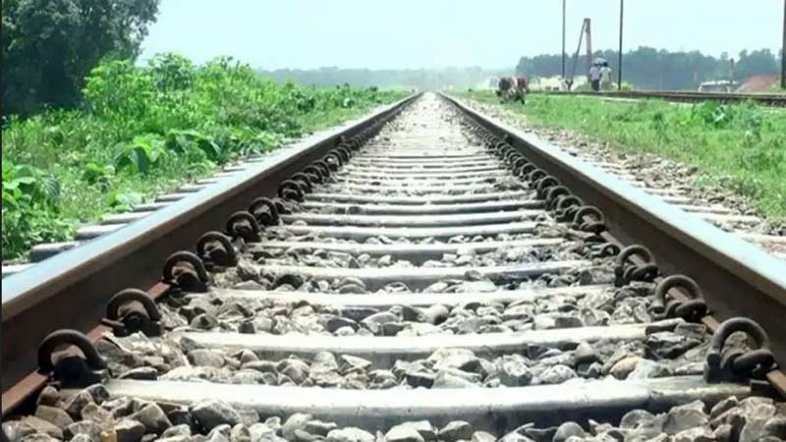 টাঙ্গাইলে ট্রেনে কাটা পড়ে ৫ জন নিহত