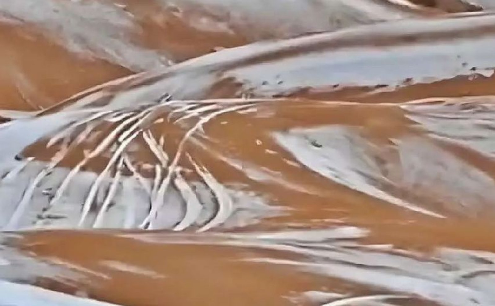 সাহারা মরুভূমিতে তুষারপাত! এমন ঘটনা শুনেছেন?