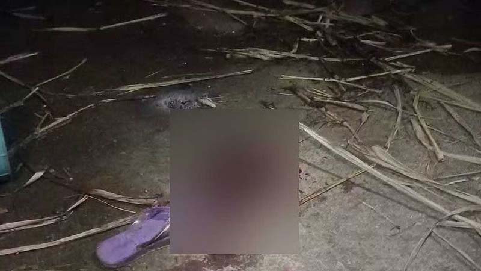 ফতুল্লায় মাদ্রাসার ছাদে খেলতে গিয়ে বিদ্যুৎস্পৃষ্ট ৫ ছাত্রী