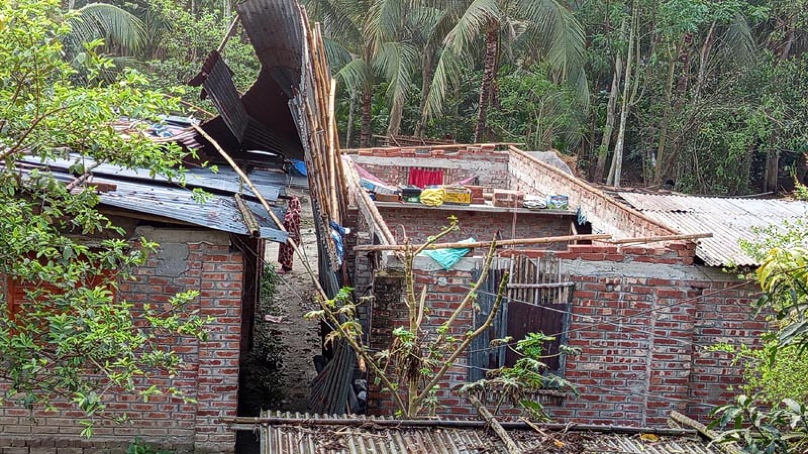 বসতবাড়ি লণ্ডভণ্ড, ক্ষতিগ্রস্ত ফসলের খেত