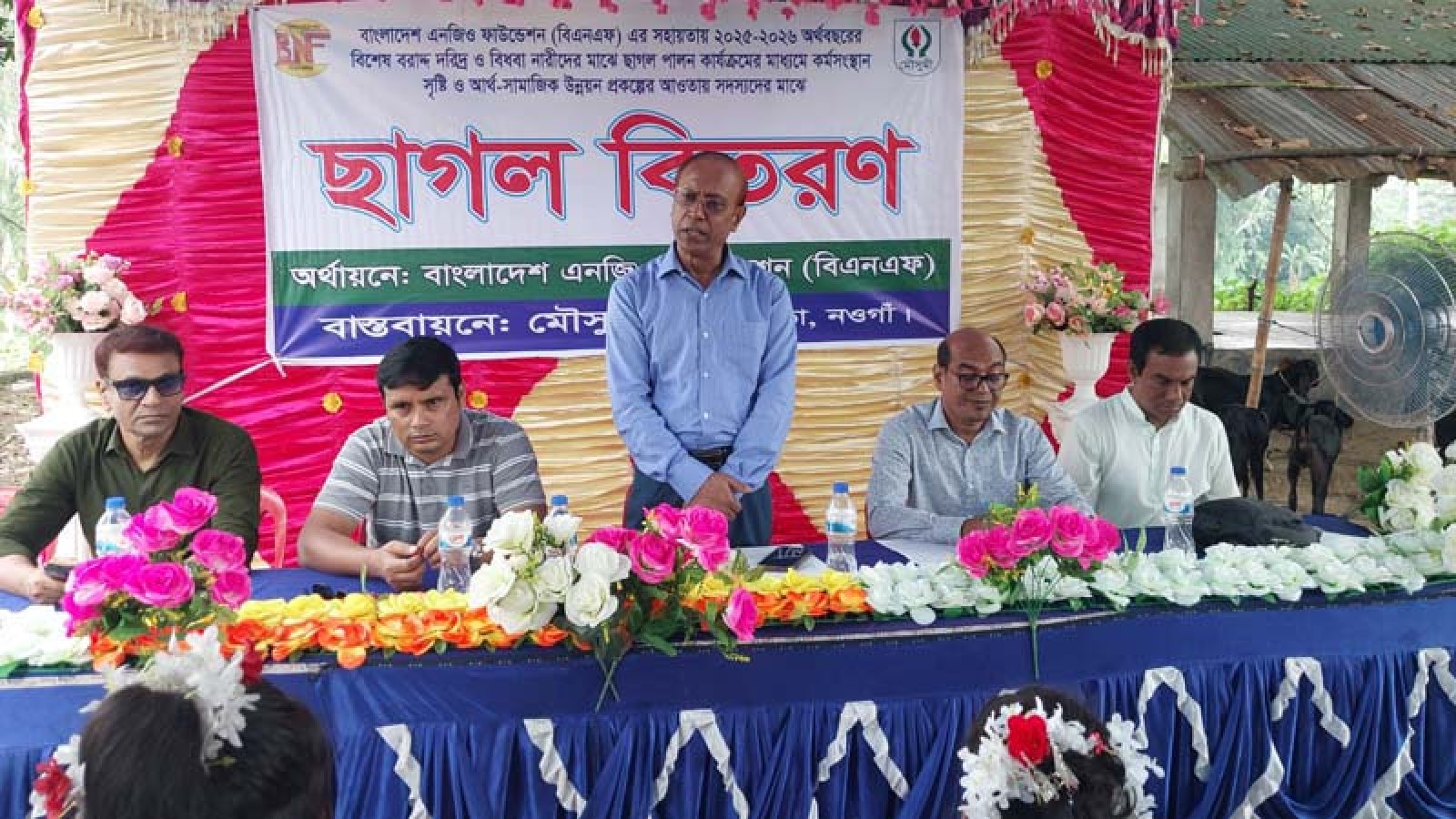 নওগাঁয় বাংলাদেশ এনজিও ফাউন্ডেশনের উদ্যোগে আদিবাসীদের মাঝে ছাগল বিতরণ