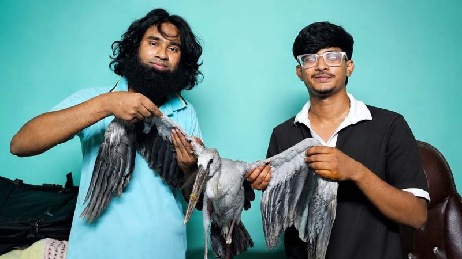 পুঠিয়ায় আহত শামুখখোল পাখি উদ্ধার