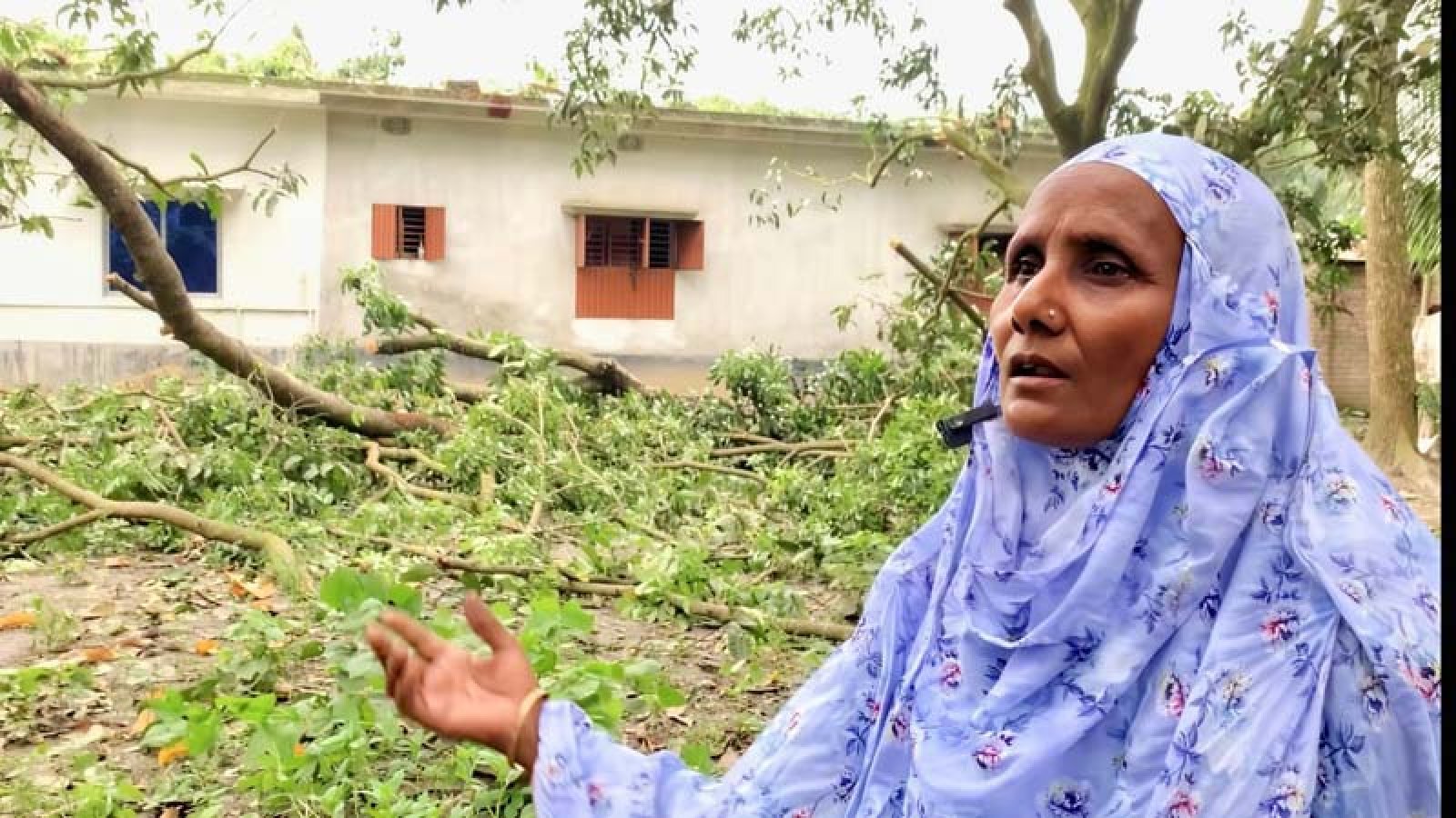 কাটা গাছের গোড়ায় দাঁড়িয়ে আছিয়ার প্রশ্ন, ‘গাছের সঙ্গে শত্রুতা কেন’