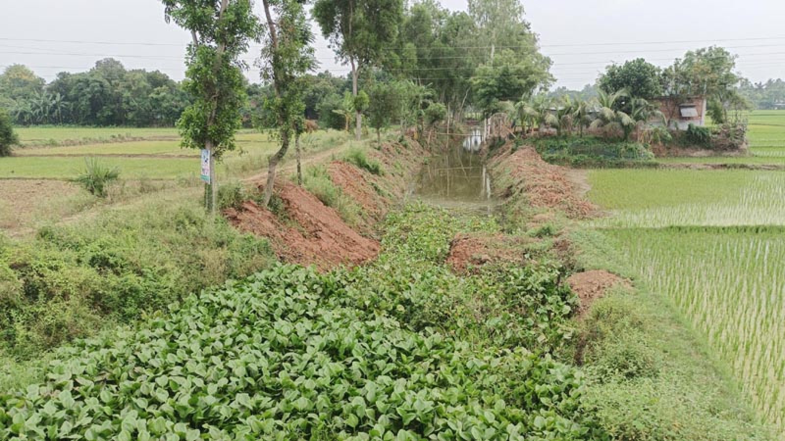 মান্দায় ভার্কের খাল পুনঃখনন প্রকল্পে পুকুর চুরির অভিযোগ