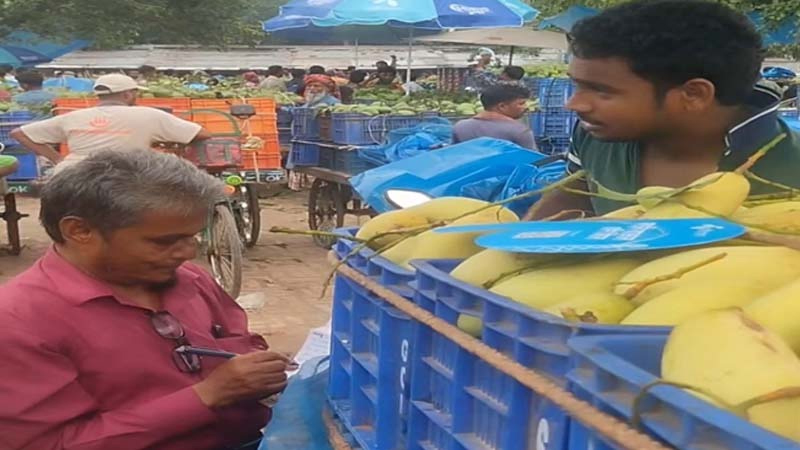 কানসাট আমবাজারে অব্যাহত ‘ঢলন’ প্রথা, হতাশ চাষিরা