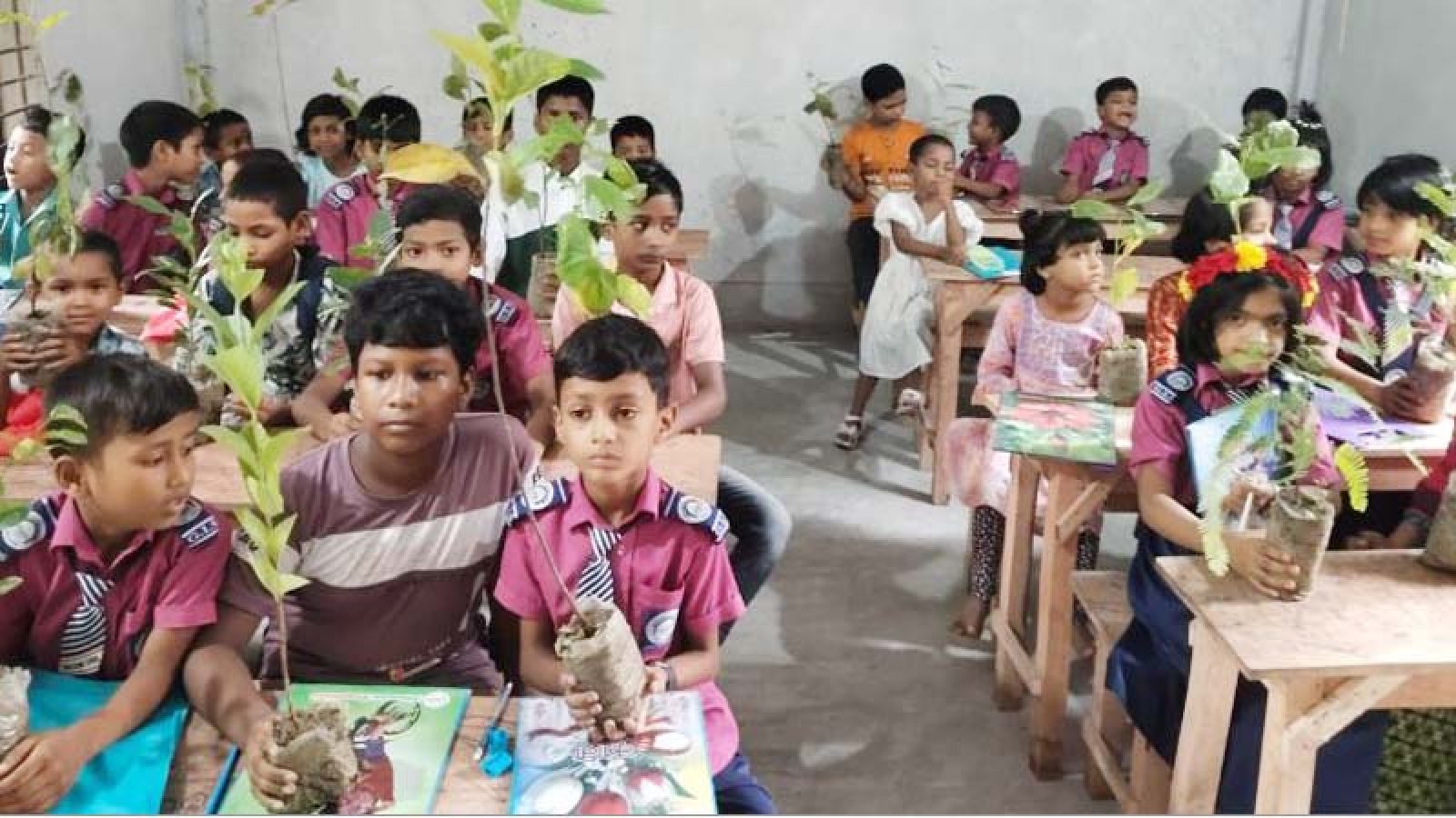 গ্লোবাল ইসলামিক স্কুলে গাছের চারা বিতরণ