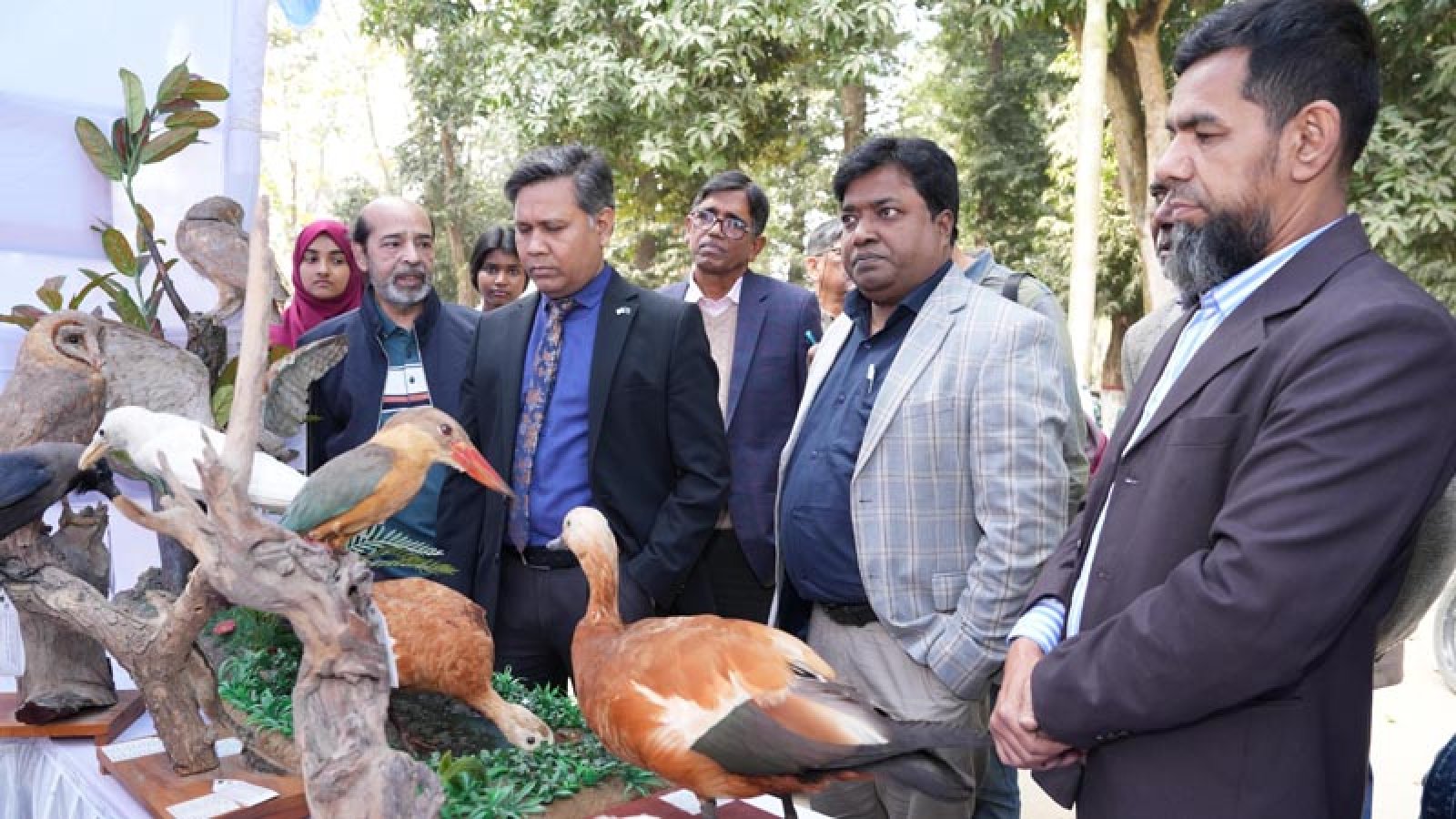 রাবিতে পাখি মেলা অনুষ্ঠিত