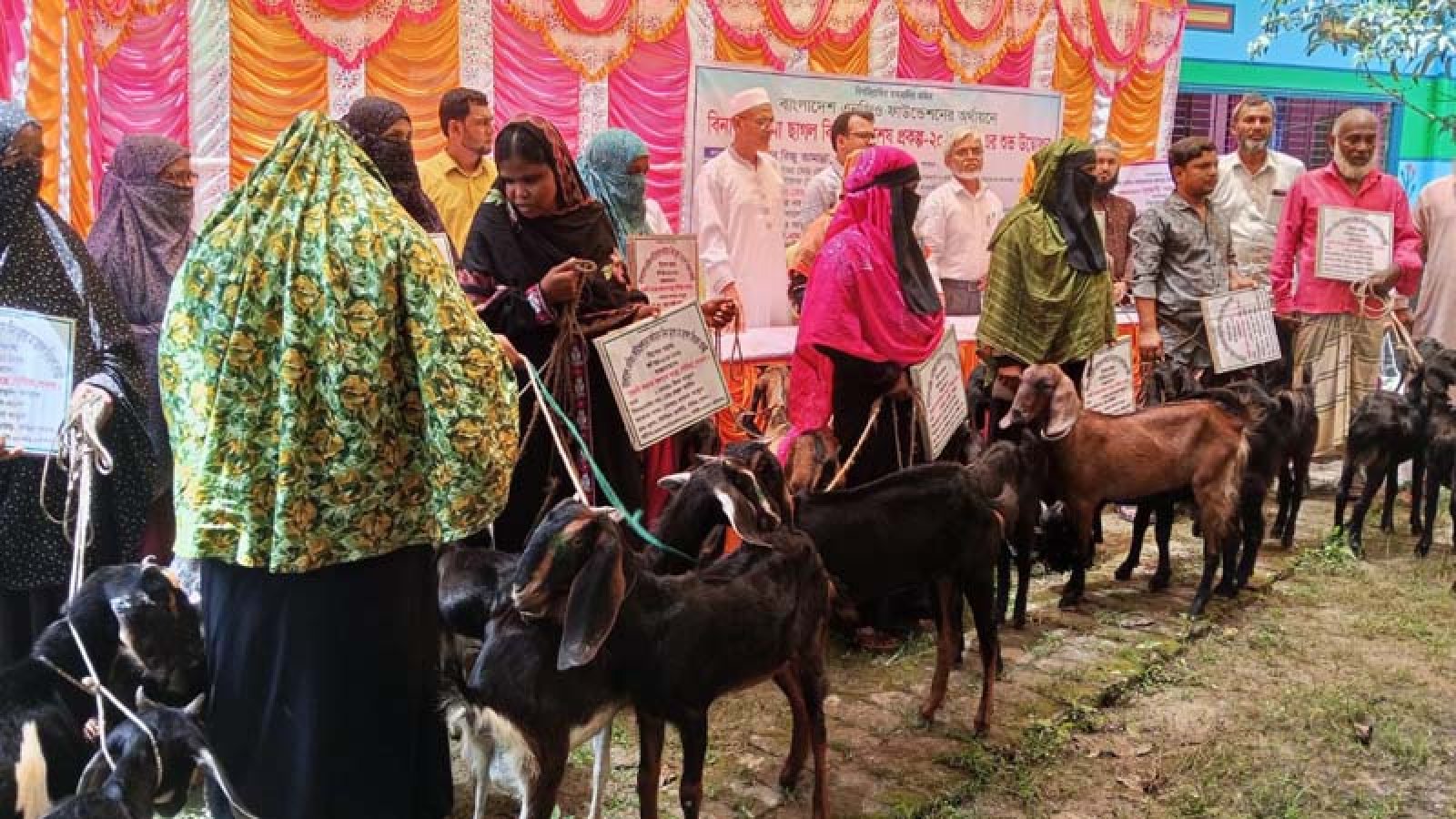 সাঁথিয়ায় বিনামূল্যে মা ছাগল বিতরণ