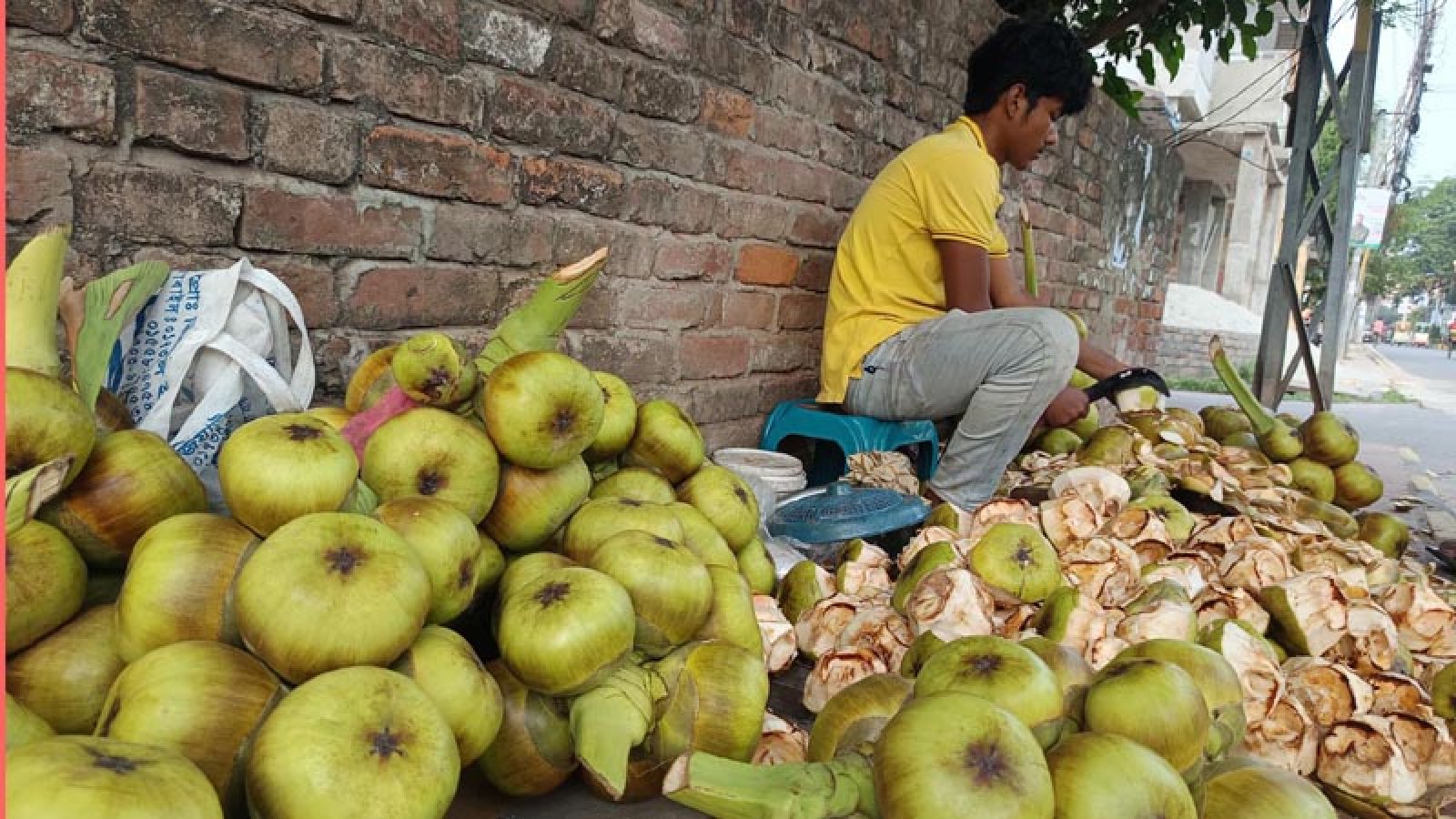 নগরীতে গরমে চাহিদা বাড়ছে তালশাঁসের