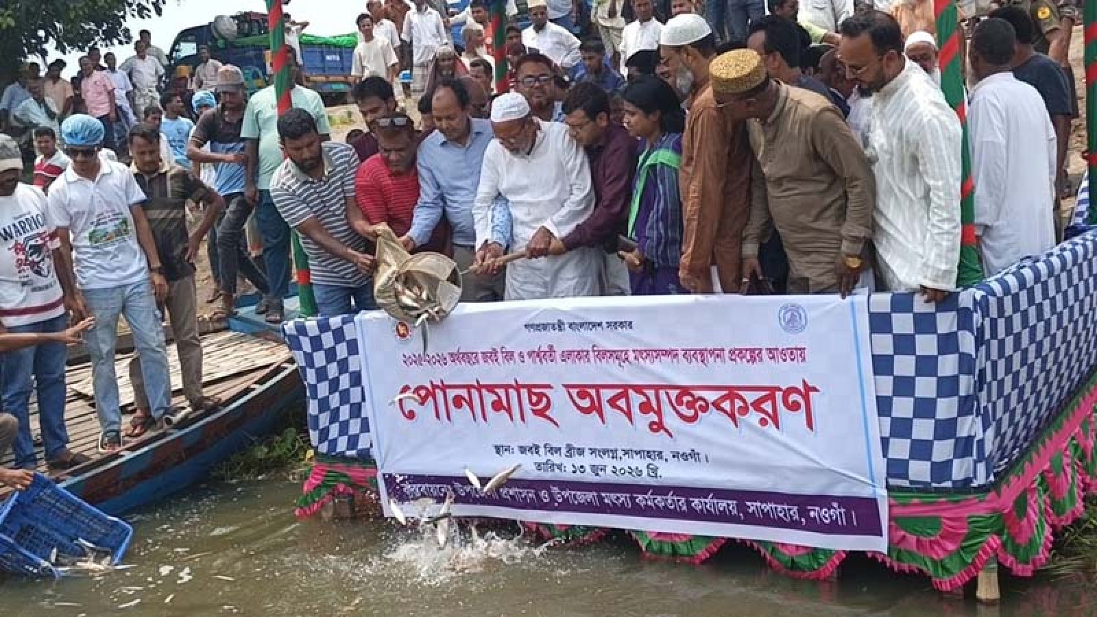 সাপাহার জবই বিলে মাছের পোনা অবমুক্ত
