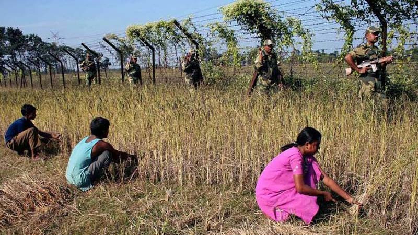 বাংলাদেশ সীমান্তে ‘স্মার্ট নিরাপত্তা গ্রিড’ চালু করবে ভারত, কাঁটাতারের বেড়া দেওয়া শুরু
