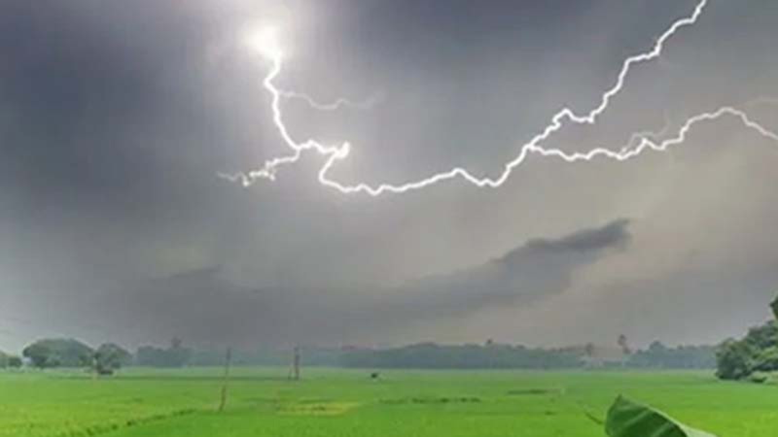 বজ্রপাত প্রবণ জেলা  চাঁপাইনবাবগঞ্জে  প্রতিবছরই বাড়ছে বজ্রপাতে প্রাণহানির সংখ্যা