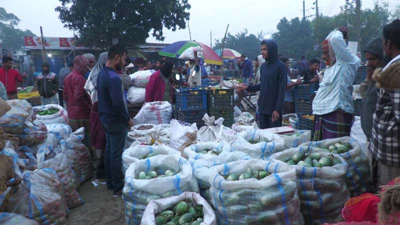 ঊর্ধ্বমুখী নাটোরের সবজির বাজার, প্রতি পিস লেবুর দাম ২০ টাকা!