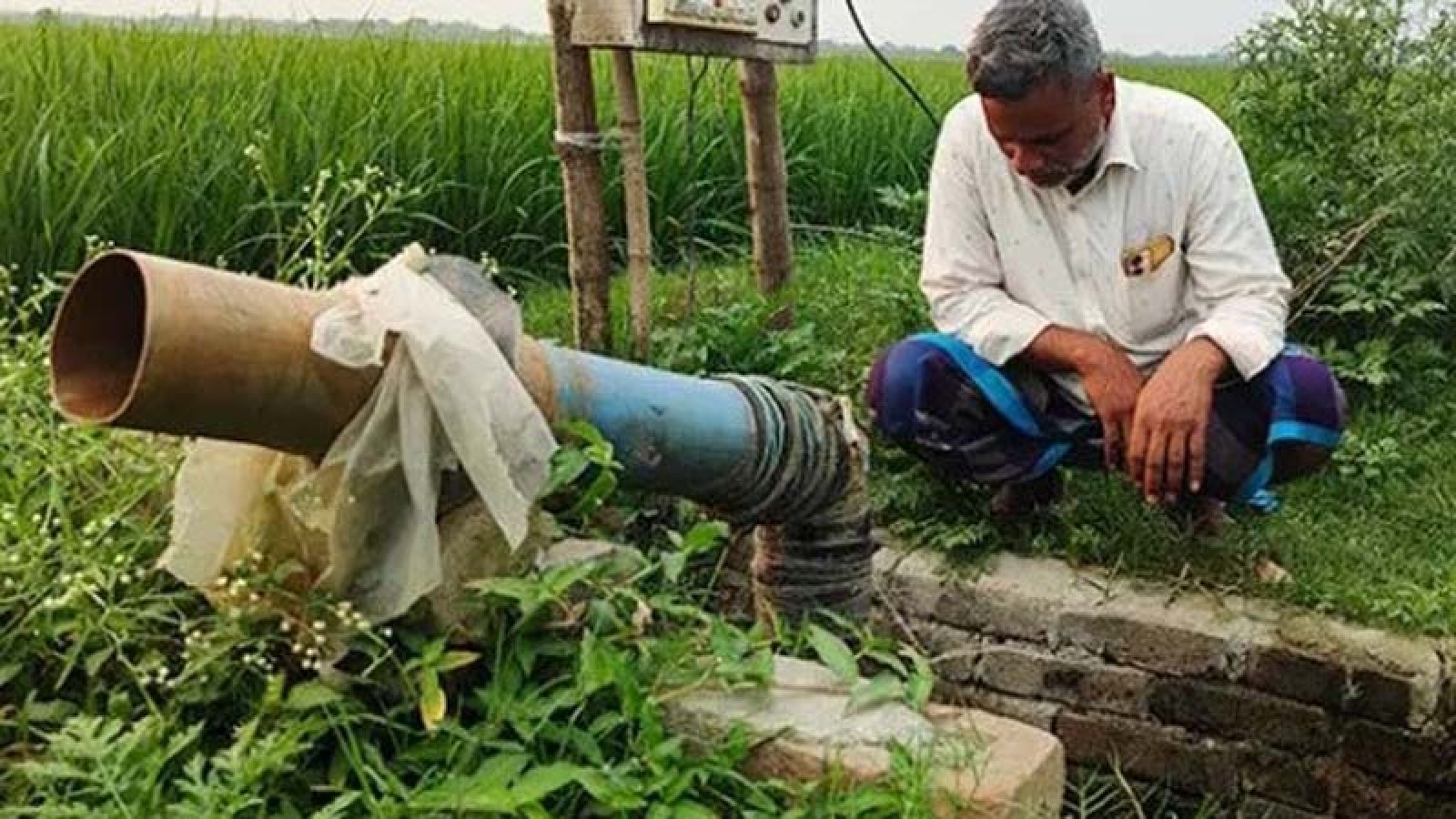 চাঁপাইনবাবগঞ্জের চরাঞ্চলে কৃষকের ট্রান্সফরমার সেচ পাম্প চুরির হিড়িক