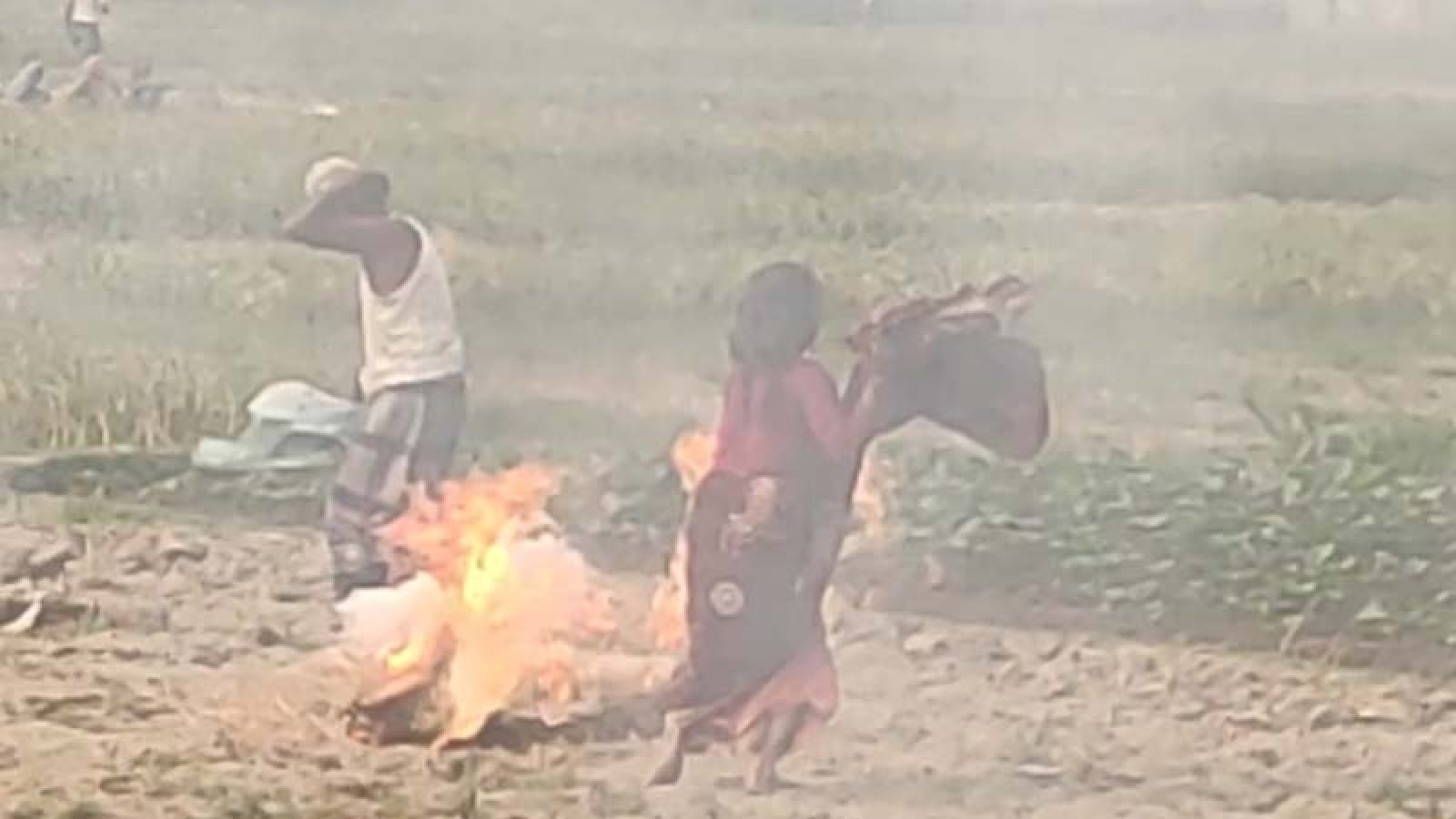 বদলগাছীতে মৌমাছির আক্রমণ আহত ২