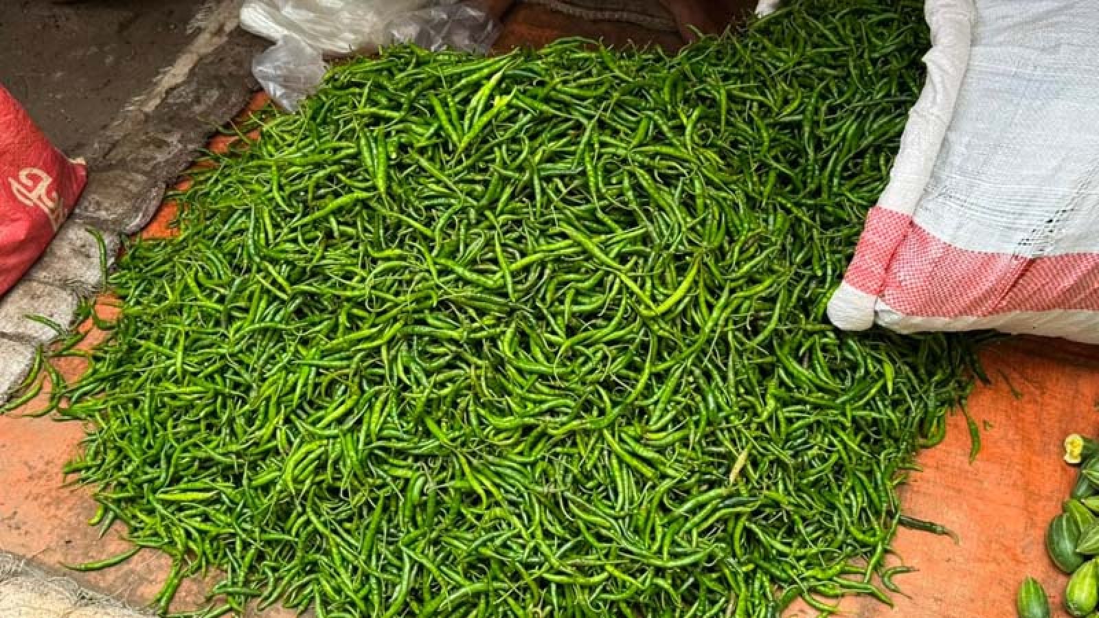 এক সপ্তাহে দ্বিগুন দাম কাঁচামরিচের