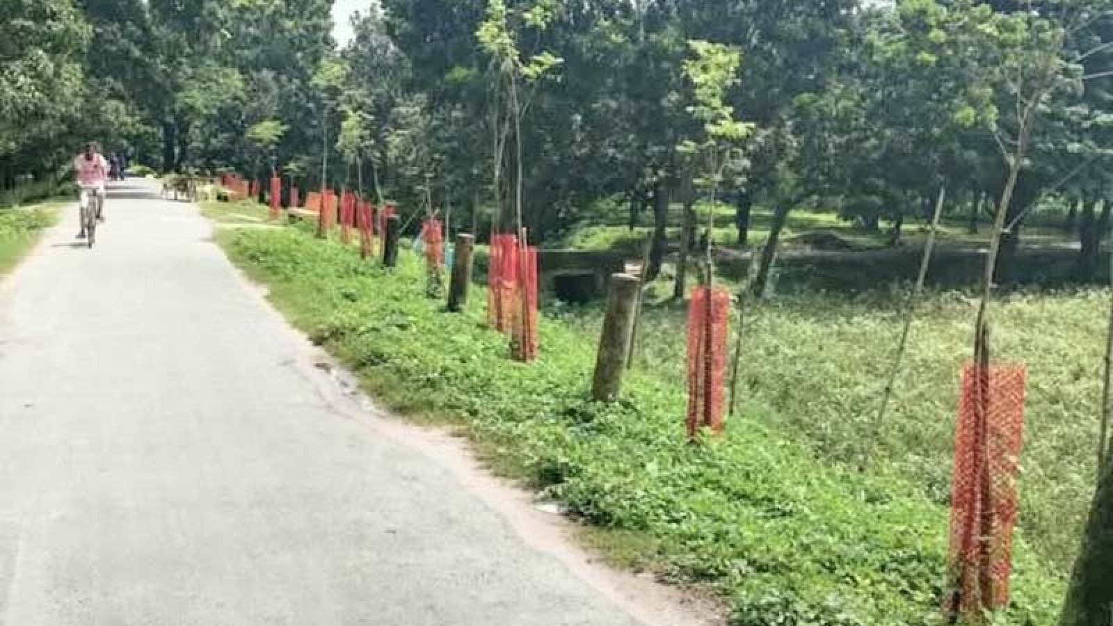 সমাজ উন্নয়নে সেবার আলো ছড়াচ্ছে ধরমপুর সমাজ কল্যাণ সংস্থা