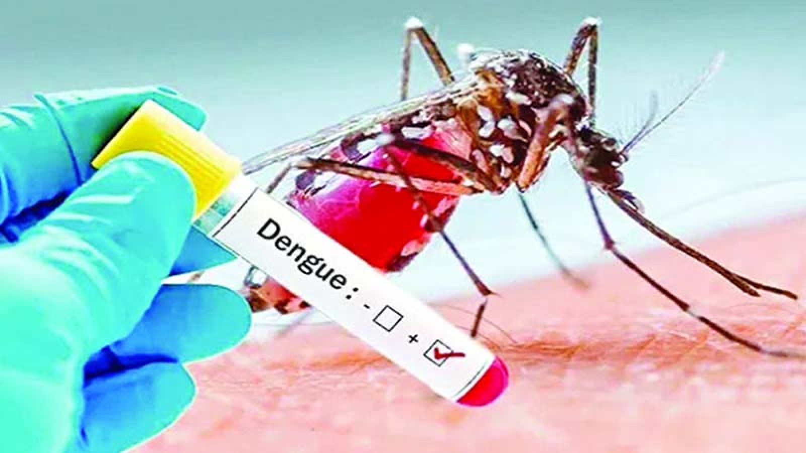 একদিনে ডেঙ্গুতে ১০ জনের মৃত্যু, হাসপাতালে ভর্তি ১৯৯৬