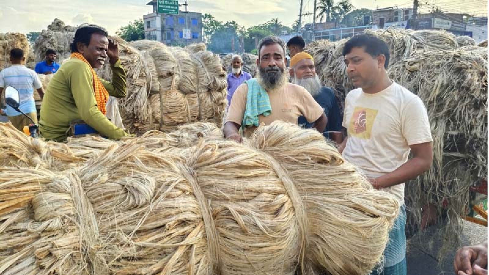 রাজশাহীতে ‘সোনালী আঁশে’ সুদিন, পাটের চড়া দামে হাসি কৃষকের মুখে
