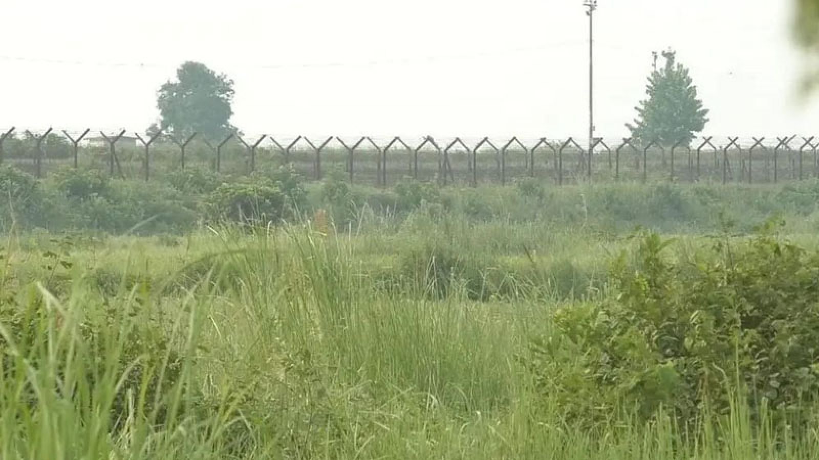 নওগাঁ সীমান্তে ৯ জনকে পুশইনের চেষ্টা বিএসএফের