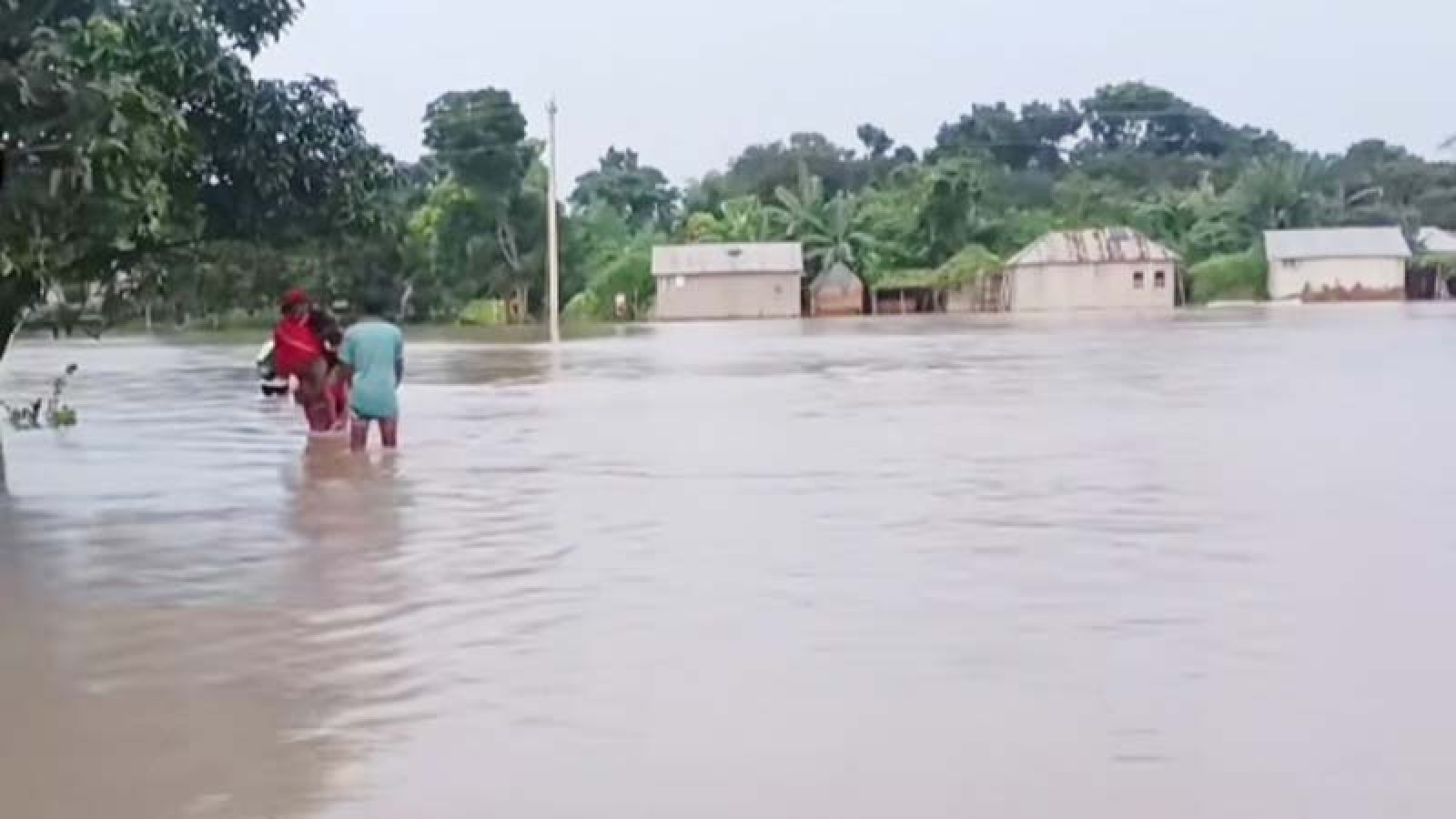 বাঘায় সাপের কামড়ে গৃহবধুর মৃত্যু, আতঙ্কে পদ্মার চরের মানুষ