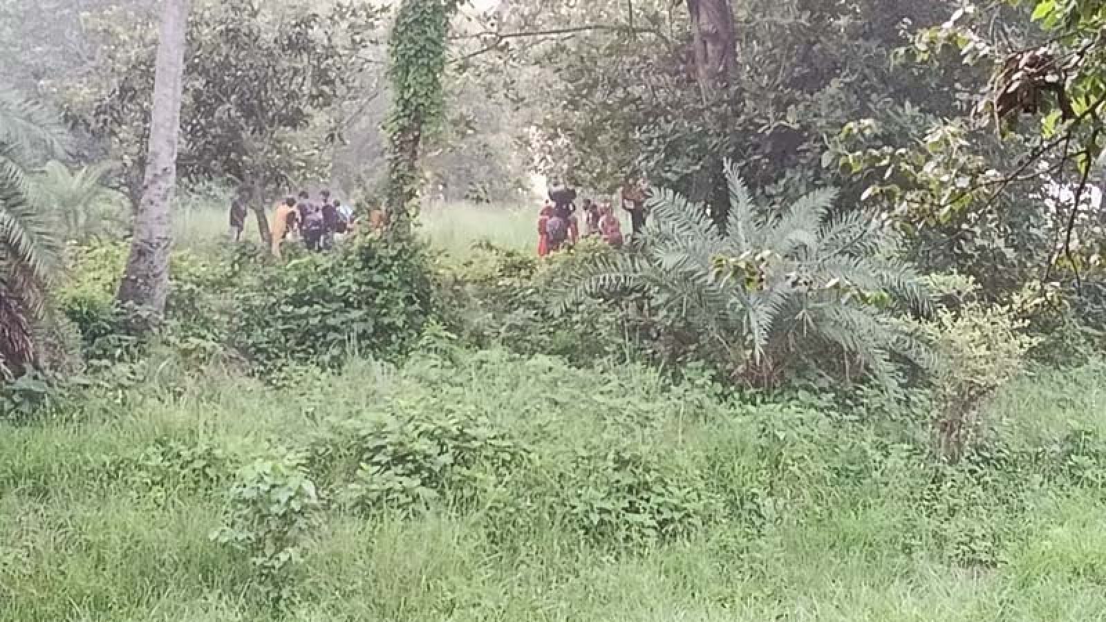 চাঁপাইনবাবগঞ্জ সীমান্তে ২৮ জনকে পুশ ইনের চেষ্টা, ফেরত পাঠাল বিজিবি