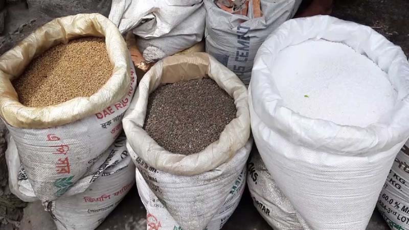 রাজশাহীতে আমন মৌসুমে বাড়তি সার চেয়ে চিঠি