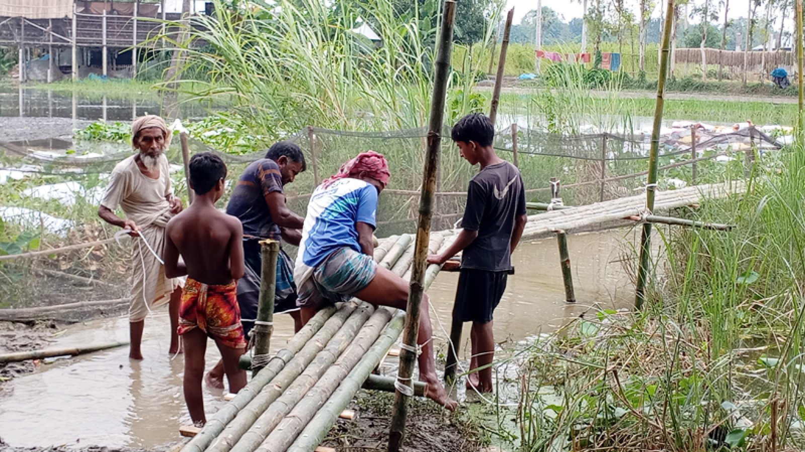 গ্রামবাসীর দুর্ভোগ লাঘবে সাঁকো নির্মাণ করলেন বিএনপি নেতা