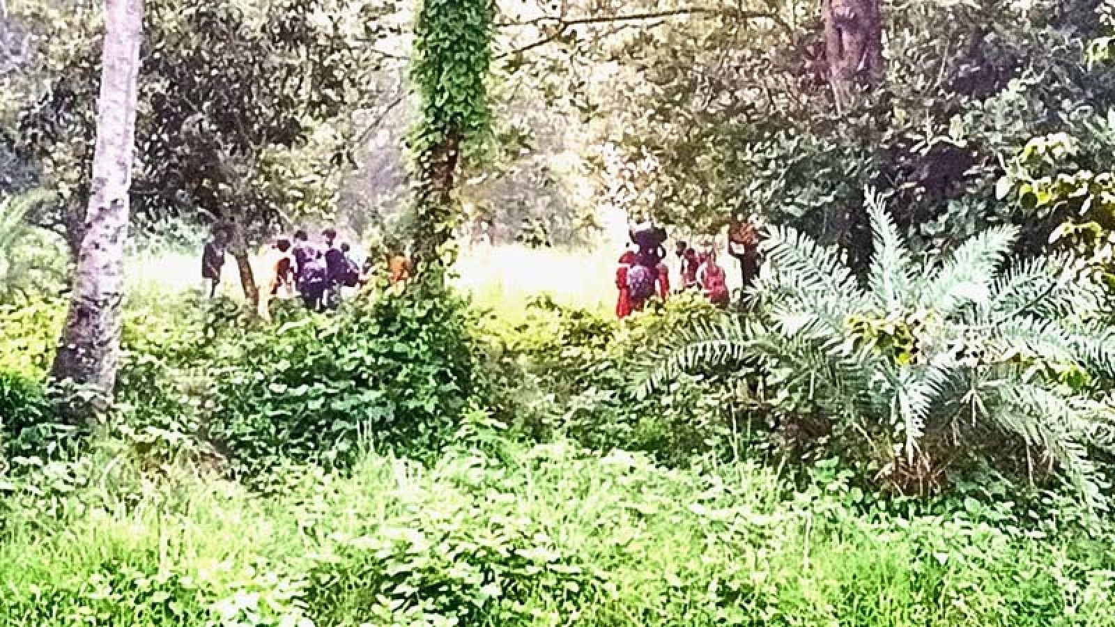 গোমস্তাপুরের বাঙ্গাবাড়ি সীমান্তে ২৮ জনকে পুশইনের চেষ্টা ব্যর্থ, ফিরিয়ে নিয়েছে বিএসএফ